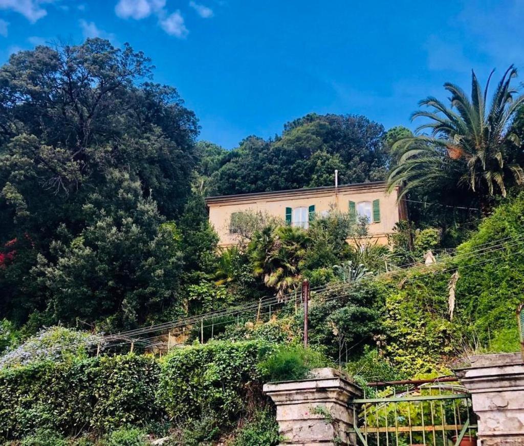 Caligo Bed and Breakfast La Spezia Exteriör bild