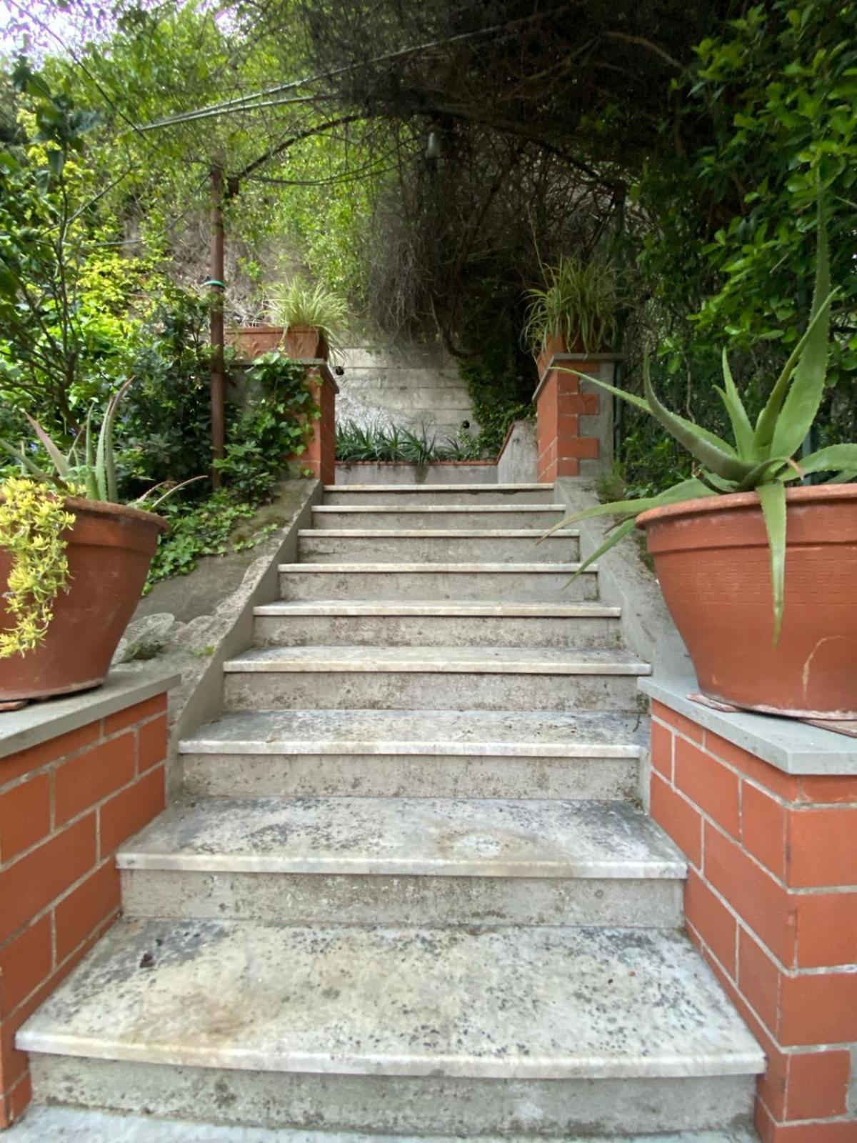 Caligo Bed and Breakfast La Spezia Exteriör bild