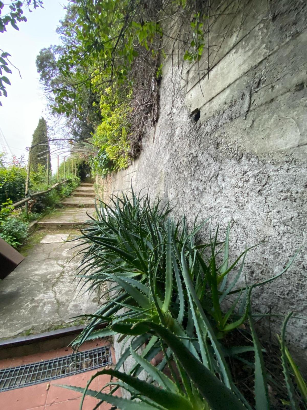 Caligo Bed and Breakfast La Spezia Exteriör bild